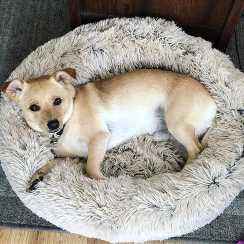 Donut Dog Bed